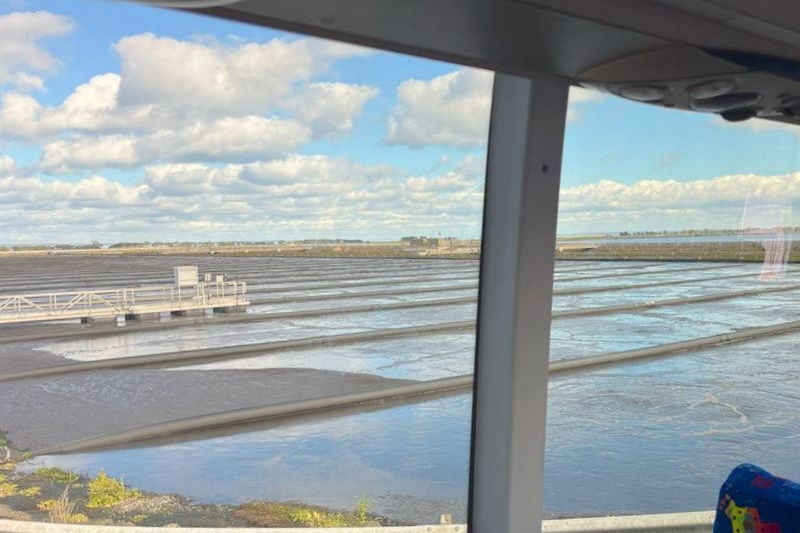 Year 4 Western Treatment Plant Excursion