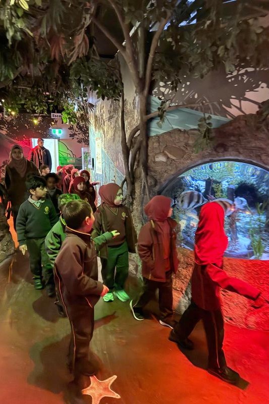 Foundation Students Visit SEA LIFE Aquarium