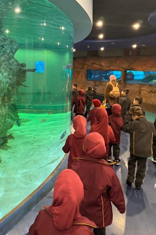 Foundation Students Visit SEA LIFE Aquarium