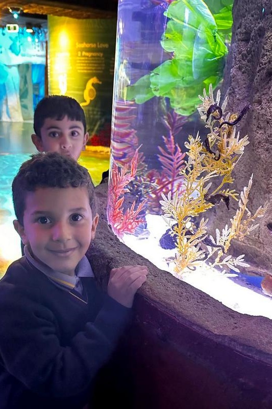 Foundation Students Visit SEA LIFE Aquarium