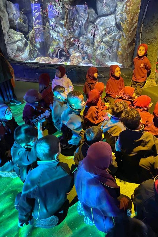 Foundation Students Visit SEA LIFE Aquarium