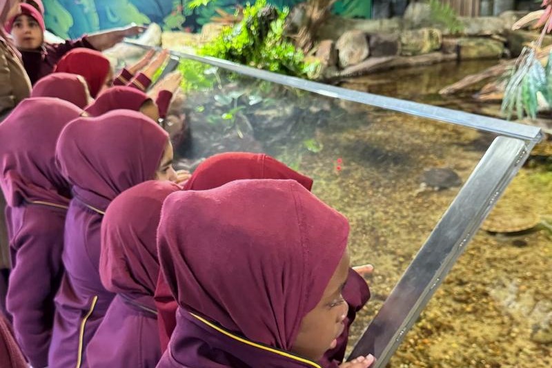 Foundation Students Visit SEA LIFE Aquarium