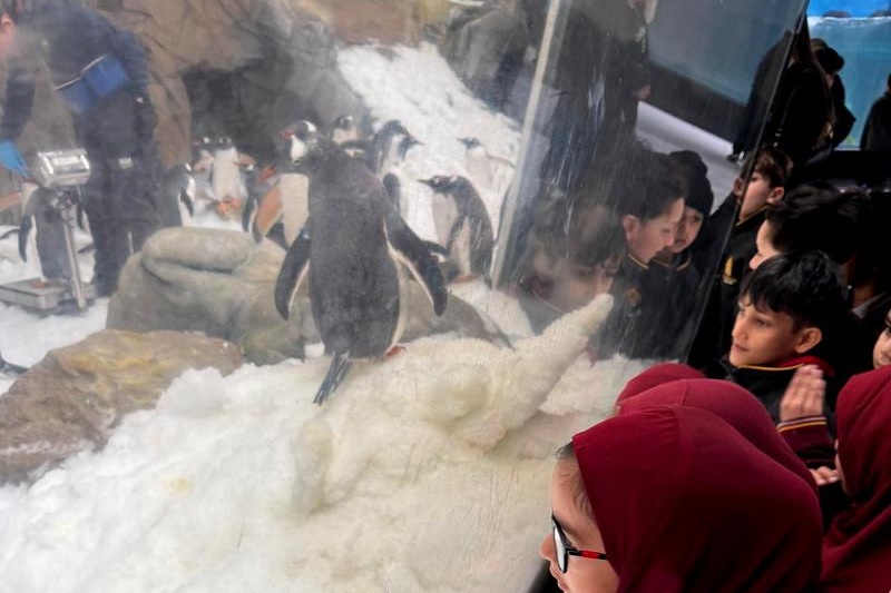 Foundation Students Visit SEA LIFE Aquarium