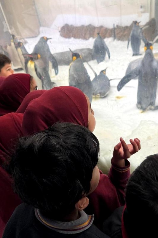 Foundation Students Visit SEA LIFE Aquarium