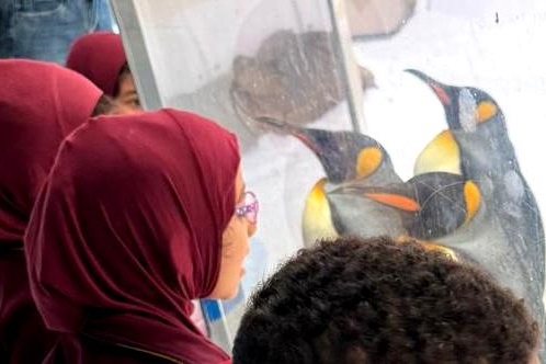 Foundation Students Visit SEA LIFE Aquarium