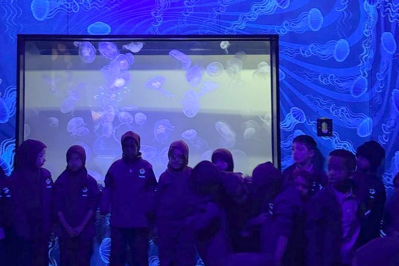 Foundation Students Visit SEA LIFE Aquarium