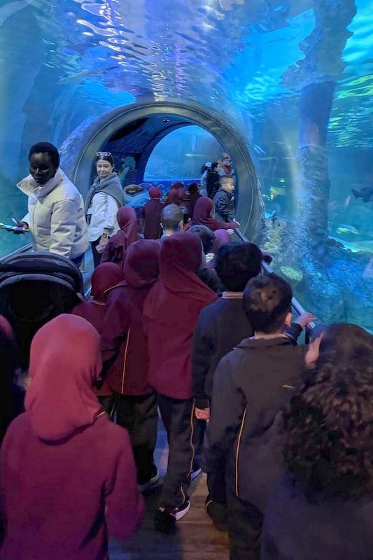 Foundation Students Visit SEA LIFE Aquarium