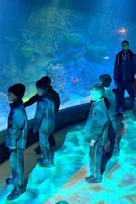 Foundation Students Visit SEA LIFE Aquarium
