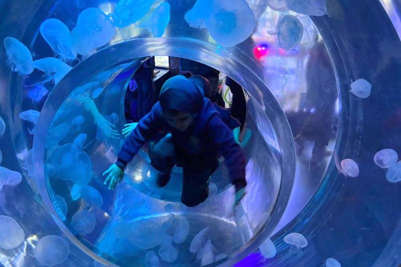 Foundation Students Visit SEA LIFE Aquarium