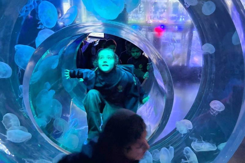 Foundation Students Visit SEA LIFE Aquarium