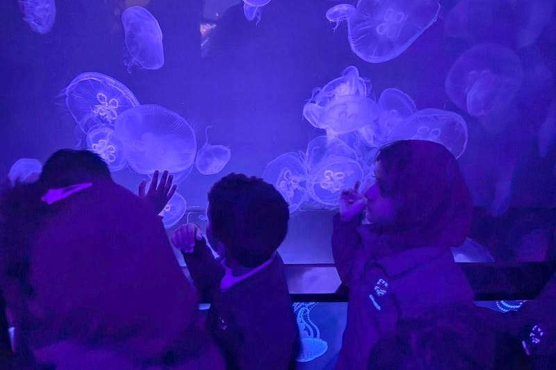 Foundation Students Visit SEA LIFE Aquarium