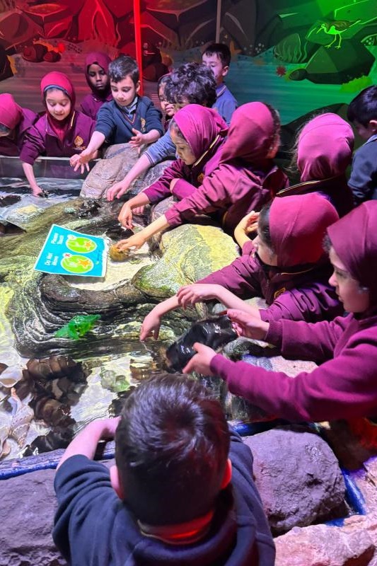 Foundation Students Visit SEA LIFE Aquarium