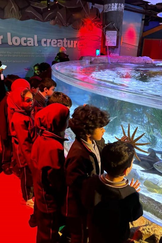 Foundation Students Visit SEA LIFE Aquarium