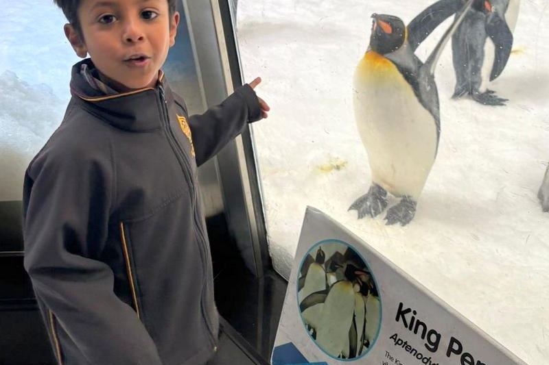 Foundation Students Visit SEA LIFE Aquarium