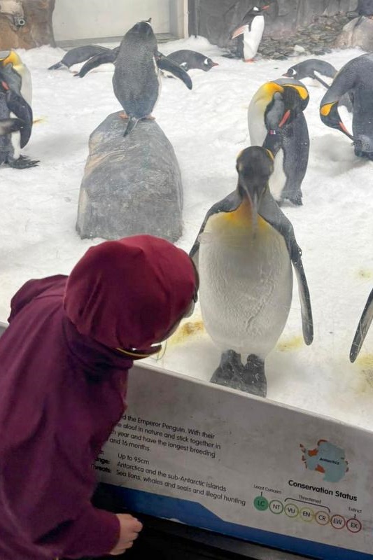 Foundation Students Visit SEA LIFE Aquarium