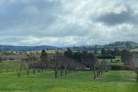 Year 11 and 12 VCE: Yarra Valley Chocolaterie