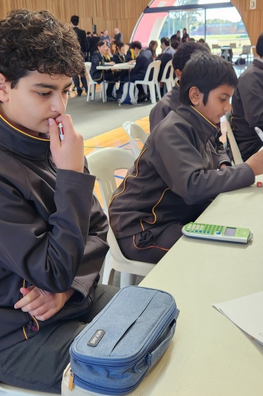 Year 8: MAV Maths Games Day 2025