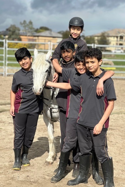 Term 3 After School Programs