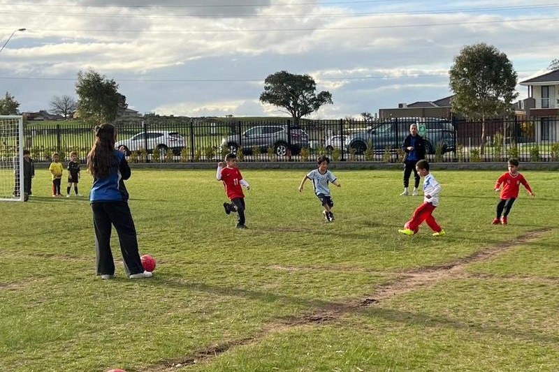 Term 3 After School Programs