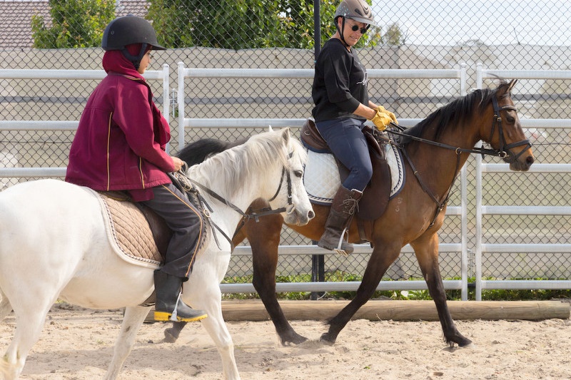 Term 3 After School Programs