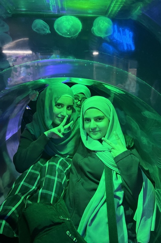 Year 9KLIC: City Adventures