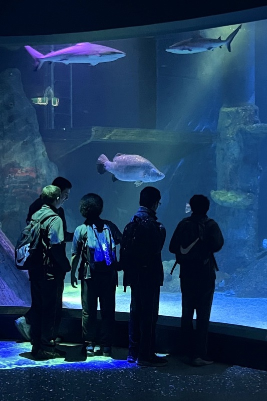 Year 9KLIC: City Adventures