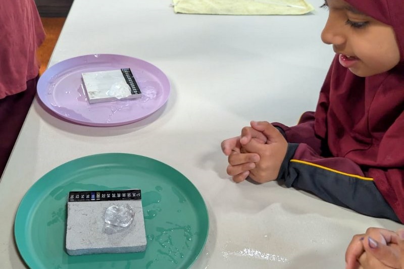 Year 3 Science “Hot Hot” Incursion