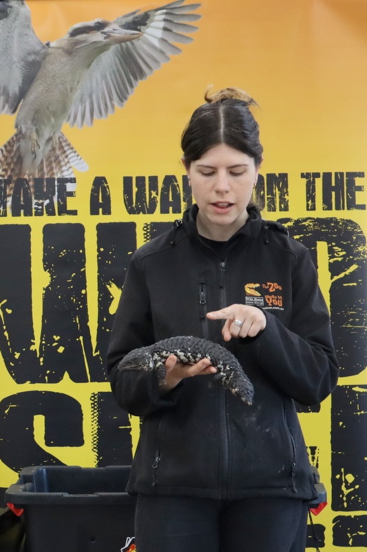 Year 5 Incursion: Australian Native Wildlife