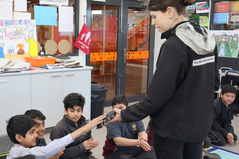 Year 5 Incursion: Australian Native Wildlife