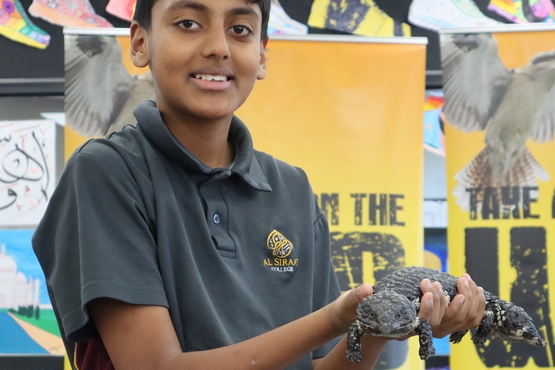 Year 5 Incursion: Australian Native Wildlife