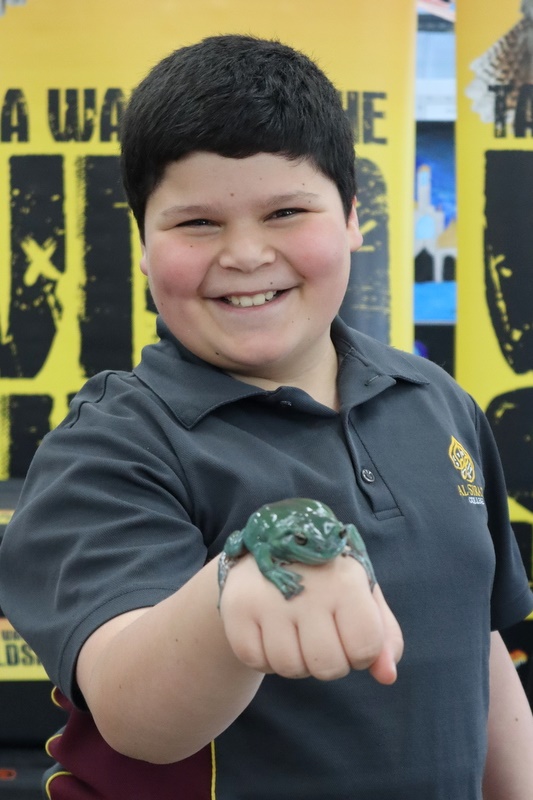 Year 5 Incursion: Australian Native Wildlife