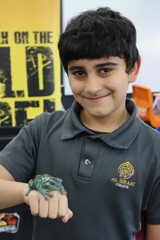 Year 5 Incursion: Australian Native Wildlife