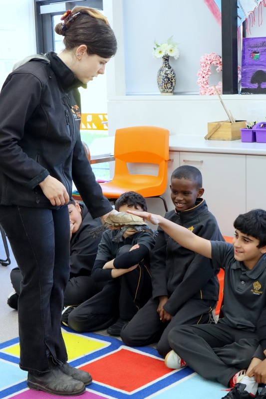 Year 5 Incursion: Australian Native Wildlife