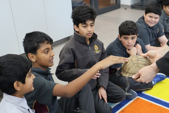 Year 5 Incursion: Australian Native Wildlife