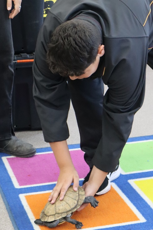 Year 5 Incursion: Australian Native Wildlife