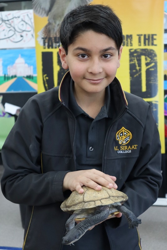 Year 5 Incursion: Australian Native Wildlife