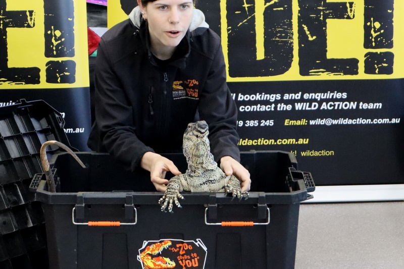 Year 5 Incursion: Australian Native Wildlife
