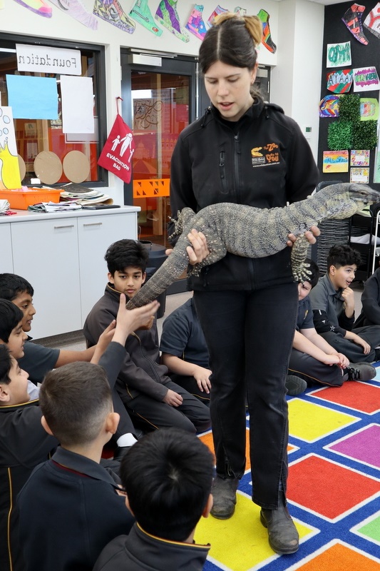 Year 5 Incursion: Australian Native Wildlife