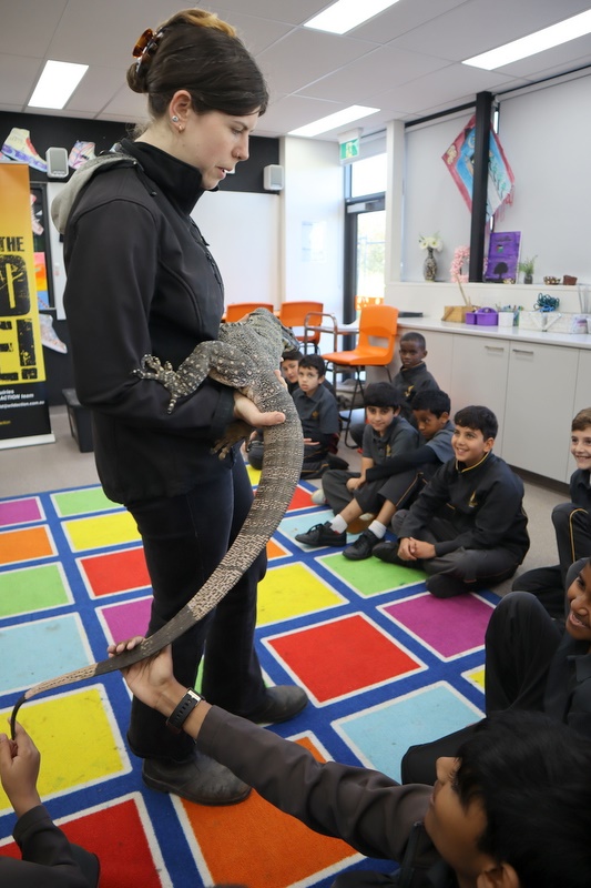 Year 5 Incursion: Australian Native Wildlife