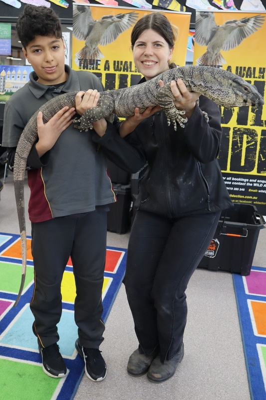Year 5 Incursion: Australian Native Wildlife