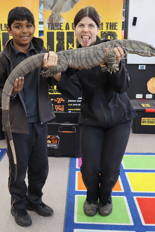 Year 5 Incursion: Australian Native Wildlife