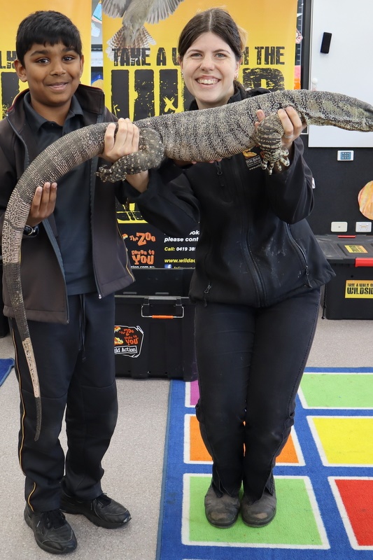 Year 5 Incursion: Australian Native Wildlife