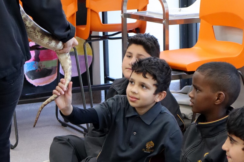 Year 5 Incursion: Australian Native Wildlife