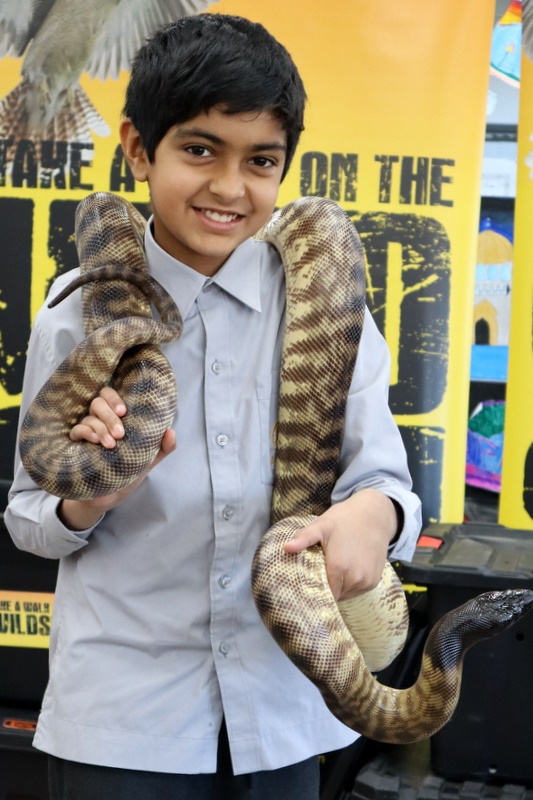 Year 5 Incursion: Australian Native Wildlife