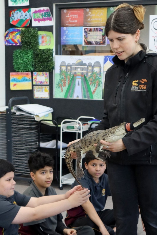 Year 5 Incursion: Australian Native Wildlife
