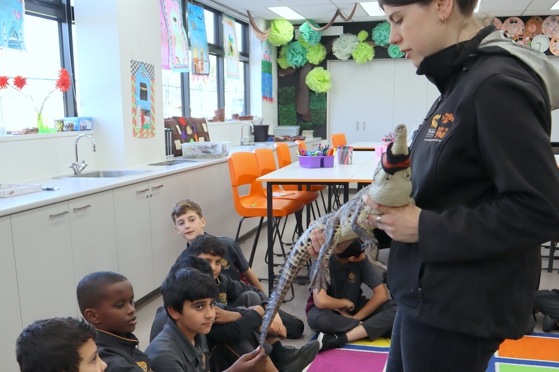 Year 5 Incursion: Australian Native Wildlife