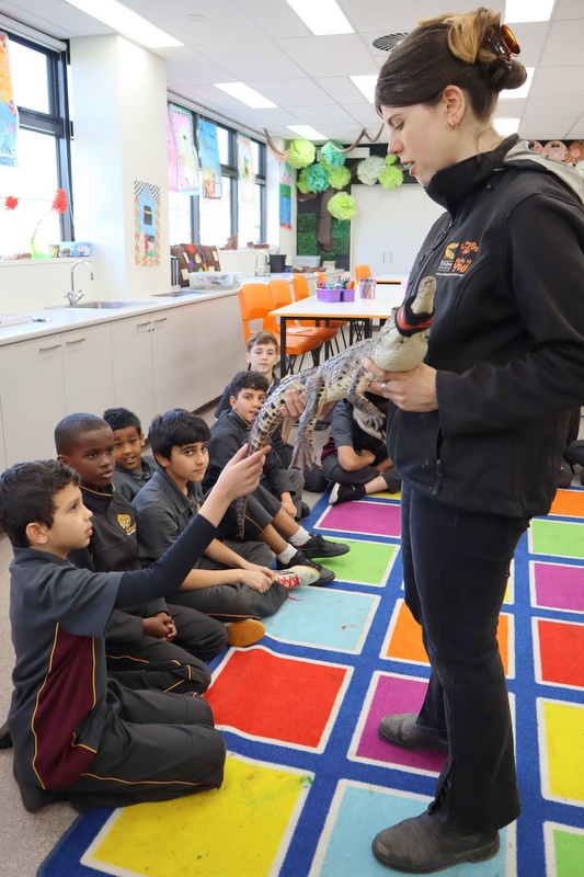 Year 5 Incursion: Australian Native Wildlife