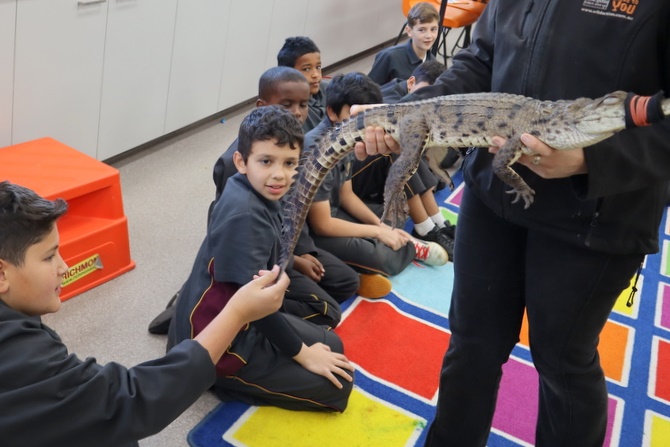Year 5 Incursion: Australian Native Wildlife