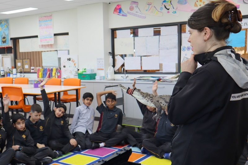 Year 5 Incursion: Australian Native Wildlife
