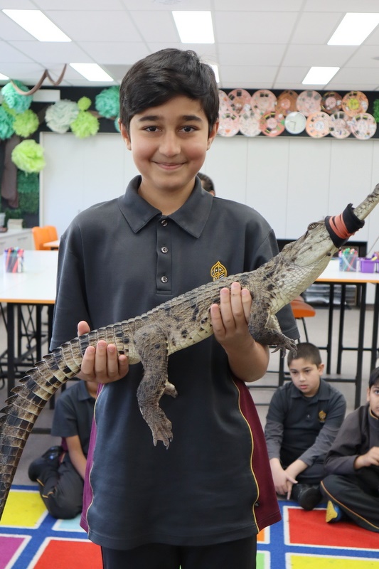 Year 5 Incursion: Australian Native Wildlife